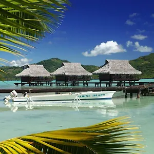 Vahine Island And Hotel